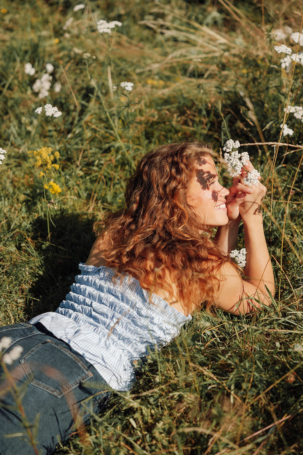 ACHILÉE MILLEFEUILLE