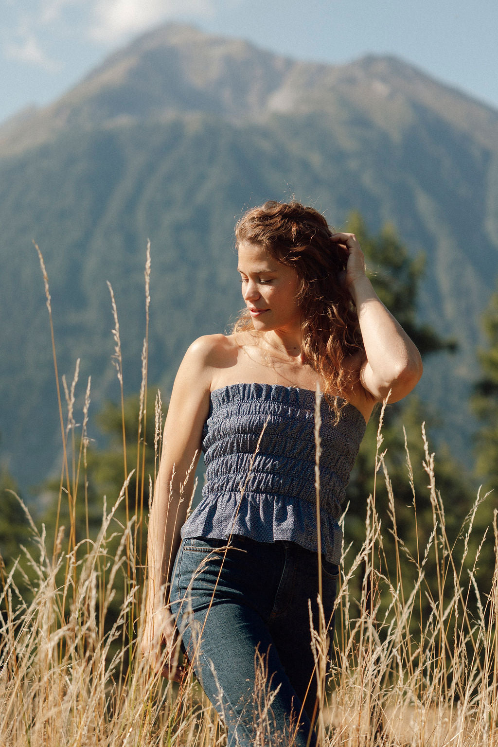 Feld-Vergissmeinnicht