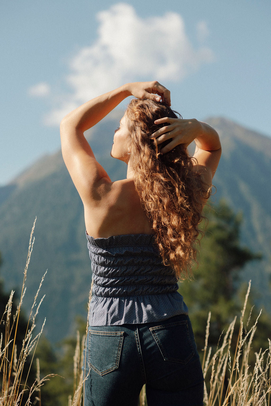 Feld-Vergissmeinnicht